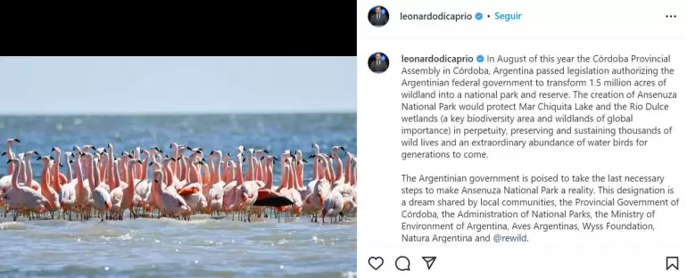 Leonardo Di Caprio - Argentina