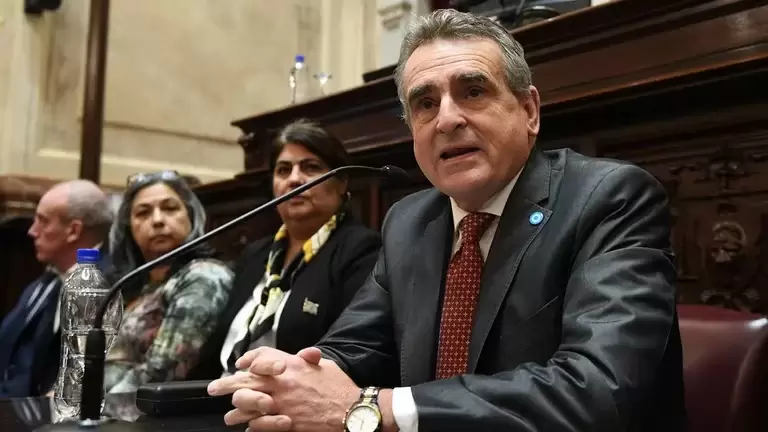 Agustín Rossi, en el recinto del Senado de la Nación (Mario Mosca / Comunicación Senado)