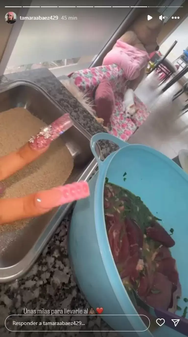 Tamara Bez se mostr preparando milanesas para L-Gante. (Foto: Captura Instagram /tamaraabaez429)
