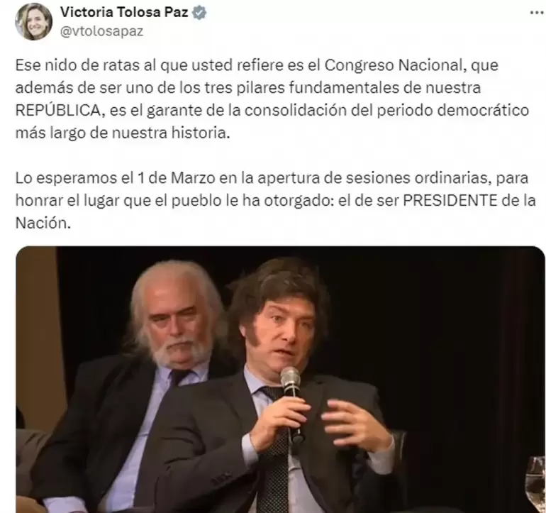 La diputada nacional Victoria Tolosa Paz repudi los dichos de Milei.